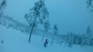 Охота с ВСЛ. Сезон 2019г. Глубокий снег...