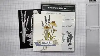 Stampin’ Up! Nature’s Harvest Thank You Card Tutorial