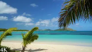 Paradise Beach 🏝️ 8HR Nature Relaxation™ Scene + Wave Sounds in 4K