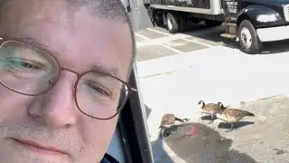 Лёха Тракер на погрузке в Массачусетсе грузит замороженную выпечку и заснял для Вас жирных воробушек