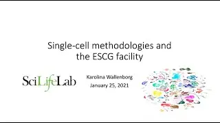 01 Single Cell Technologies — 05 CITEseq