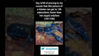 Day 4/50 getting to 10k!! #million   #themoneygowhereigo   #onlyfans  #lobster