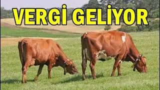 BİR KOMPLO TEORİSİ DAHA GERÇEK OLDU! | Sürpriz sonlu video