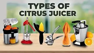 Why You Should Get Citrus Juicer? | Types of Citrus Juicer