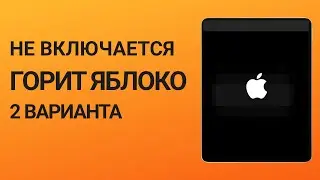 iPad не включается горит яблоко, что делать? [2 варианта в 2024 году]