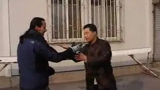 Master Zhou  |  Baji Quan 4th Form - Lesson 1