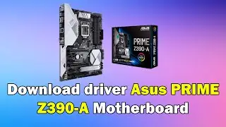 How to Download driver Asus PRIME Z390-A Motherboard windows 11 or 10