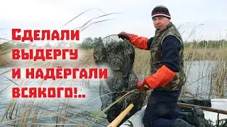 Сделали выдергу и собрали подводный урожай в озере!