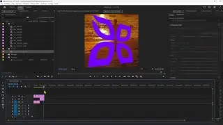 PREMIERE PRO - Lezione 02 - Nuovo Progetto, Importa, Formati, Importa, Inserisci, Collega Sorgente