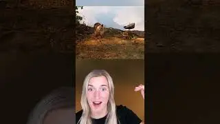 5 Pictures You NEED To Look At TWICE!😱