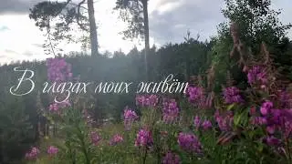 Стихотворение В. Тебинова 