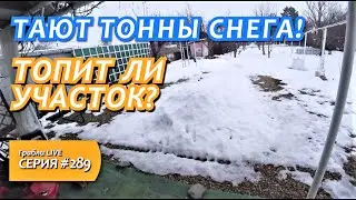 Динская в лужах! Как спасаемся на участке? Жизнь после переезда на юг в Краснодарский край.