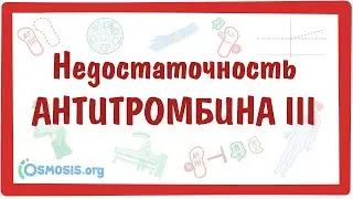 Недостаточность антитромбина III  — причины, симптомы, патогенез, диагностика, лечение