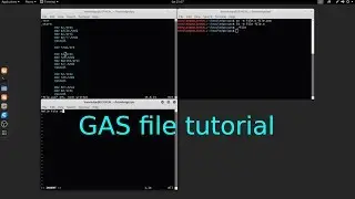 GAS x64 GNU Assembler file read write tutorial in Linux