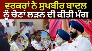 Gidderbaha News | ਪਾਰਟੀ ਵਰਕਰਾਂ ਨੇ Sukhbir Badal ਨੂੰ ਚੋਣਾਂ ਲੜਨ ਦੀ ਕੀਤੀ ਮੰਗ | By-Election | N18V