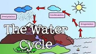 All About the Water Cycle for Kids: Introduction to the Water Cycle for Children - FreeSchool