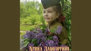 Пилотка
