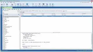 Getting started with Toad for DB2: Chapter 4 - Database Explorer Features