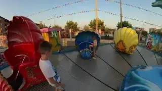 Ракушка в Анапе