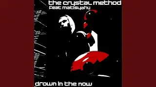 Drown In The Now (Radio Edit)