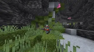 100 HARI DI MINECRAFT HARDCORE SPEEDRUN