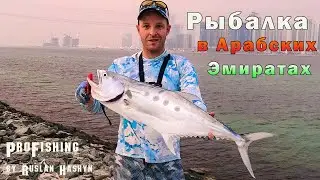 Трофейная Рыбалка в Арабских Эмиратах с Берега