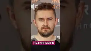 🎤 The Cranberries 🎸