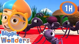 Ants do What!? | | Blippi Wonders| Educational Kids Videos | Moonbug Kids