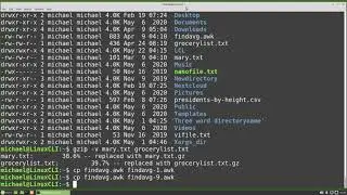 Linux Command Line (46) gzip