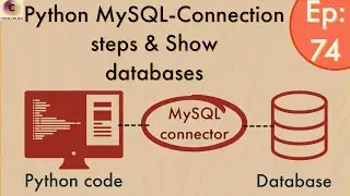 Python Database Connectivity MySQL | Python Database Connection Steps | Show databases