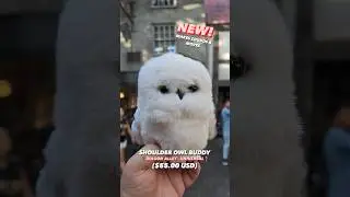 Harry Potter Owl! 🦉🤍 