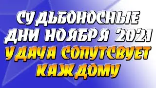 Судьбоносные дни ноября 2021 - удача сопутствует каждому / Дни силы в ноябре 2021 года