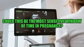 Could This be the Most Sensitive Window of Time in Pregnancy?