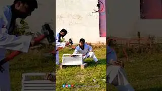 ⚠️ Taekwondo GREAT Power Arm ✅ Kick Best TKD Technique 