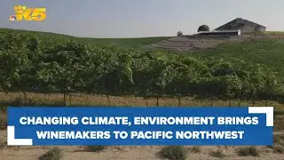 Winemakers move to the Pacific Northwest amid changing climate, environmental factors