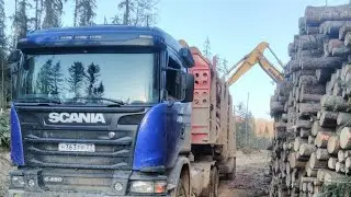 Макс Вертиго