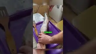 Поймал Рыбу Своей Мечты 🐟🔥👍