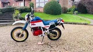 Honda XL600LM