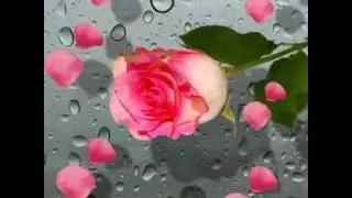Romantiche emozioni