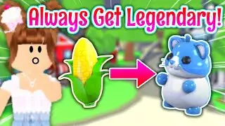 *THEY WORKED*🤩Testing Hacks to ALWAYS Get LEGENDARY💎Diamond Hamster in Adopt Me Hamster Update 2024!