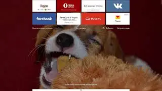 Расширение Adguard для Яндекс.браузера
