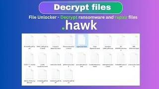 The Ultimate Guide to Decrypting Ransomware and Data -  .hawk -  #decrypt #recovery