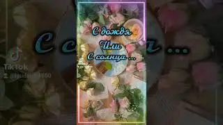 С добрым утром ! С новым днём!🍀🌺🍀💛#доброеутро #пожеланиедлядрузей #пожелания #лето