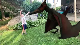 How to see dinosaurs in your backyard