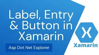 How to use Label, Entry, Button & Button Event in Xamarin Forms Mobile Apps