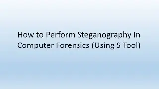 How to Perform Stegnography In Computer Forensics (Using S Tool)  #mscitpracticals