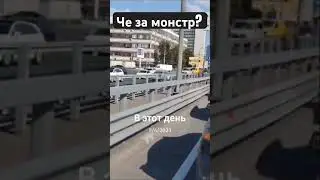 Че за лев этот тигр ? #яндекстакси #automobile #яндекс #юмор