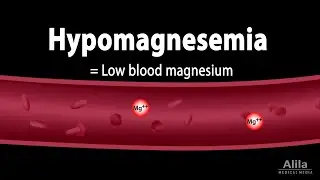 Magnesium Metabolism and Hypomagnesemia, Animation