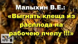 #Малыхин