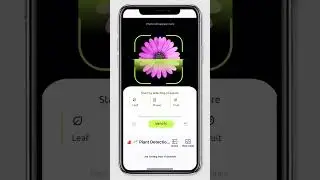 Live Test Your App | Thunkable Feature Spotlight 